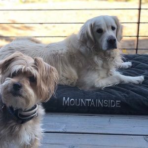 Meet your Posher, Shannon